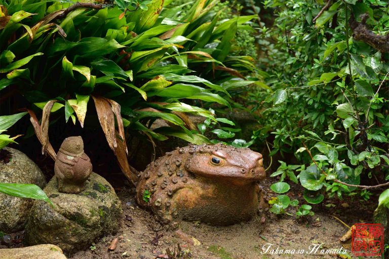 15-031-078-1_dsc_0583