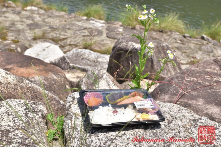 19-013-065 05-30_122352_01