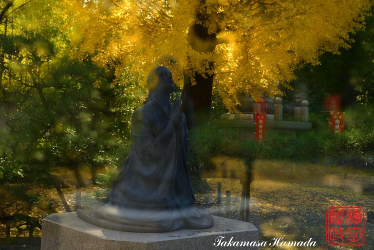 19-035-247 11-15_140706_02