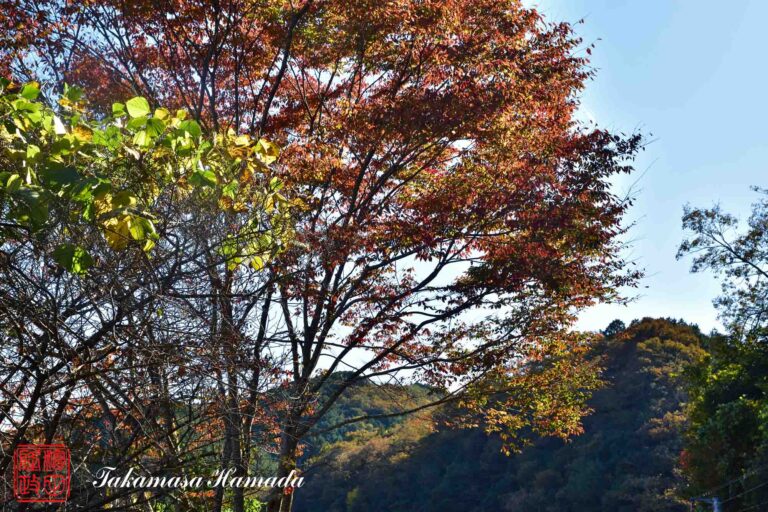 21-035-001 11-07_130528_01