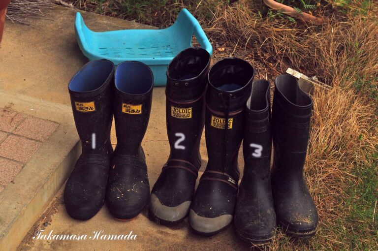 22-016-026 04-24_124354_01