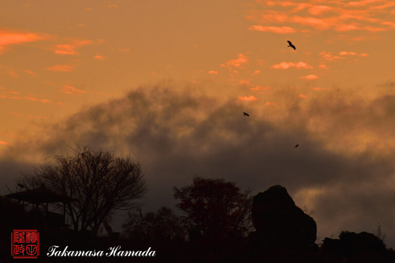 22-071-030-11-30_165938