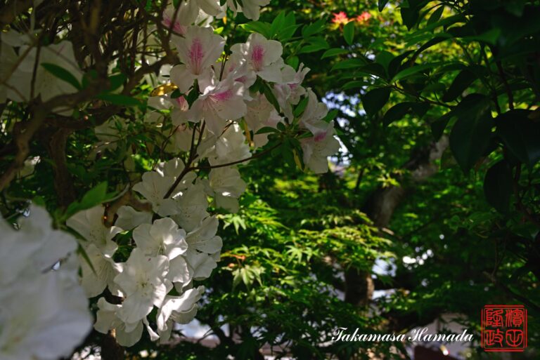 22-025-014 05-06_124926