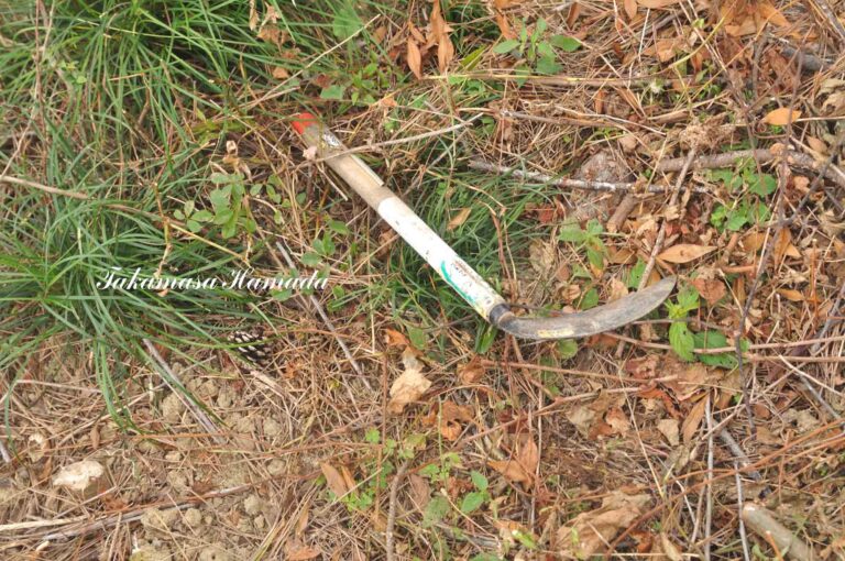 23-020-130 _10_15_115033