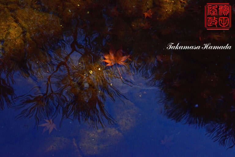 19-053-316 12-20_104132-1