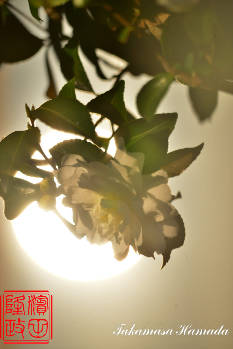 23-024-058 _11_26_154714