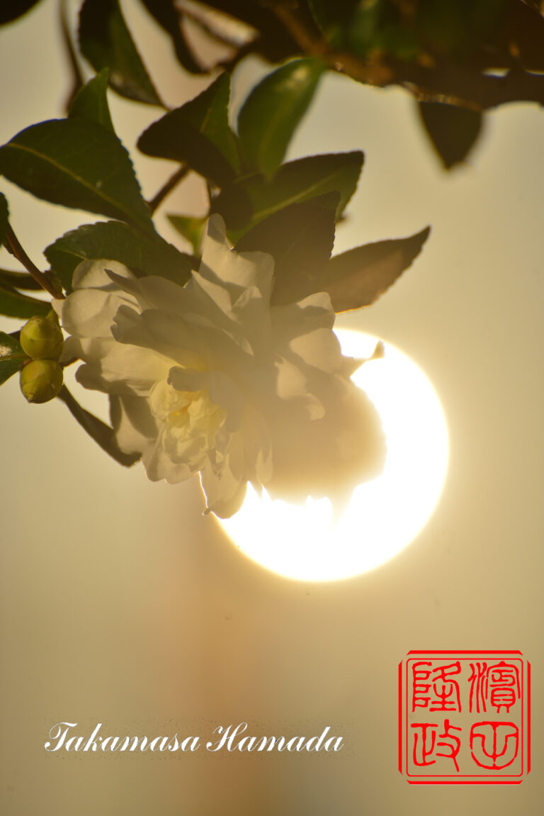 23-024-076 _11_26_155425