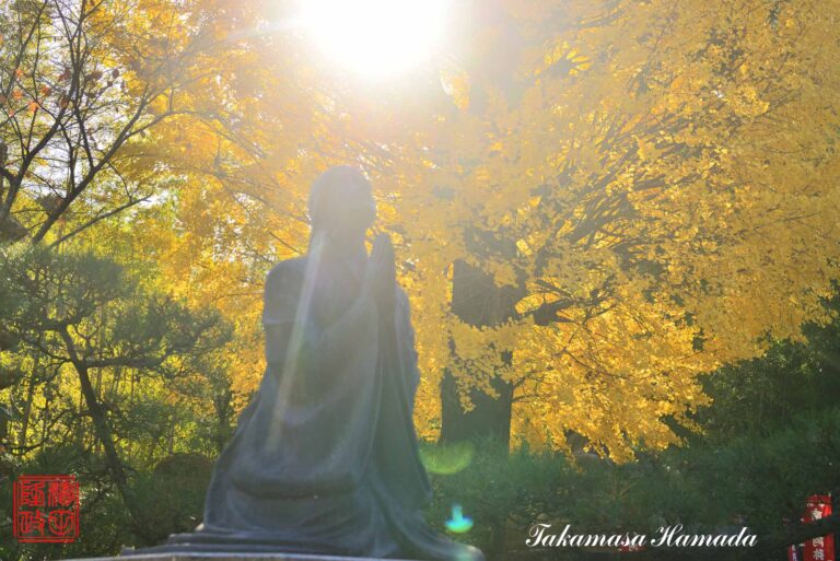 ①19-035-209 11-15_135401