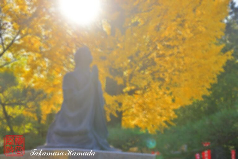 19-035-203 11-15_1352-G