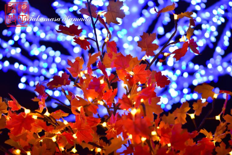 19-043-121 12-01_195109