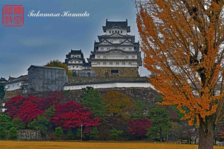 19-045-040 12-02_0930-e