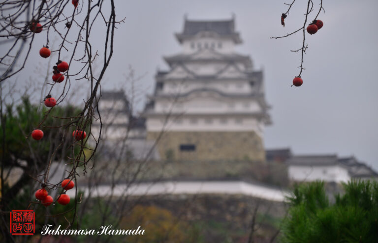 19-046-108 12-02_100526