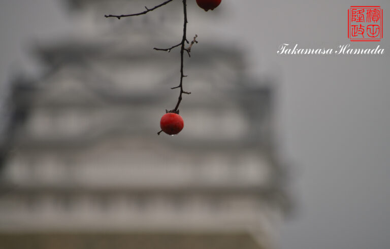 19-046-111 12-02_100545