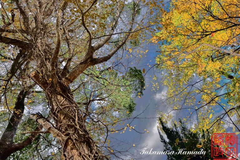 19-048-048 12-02_123134