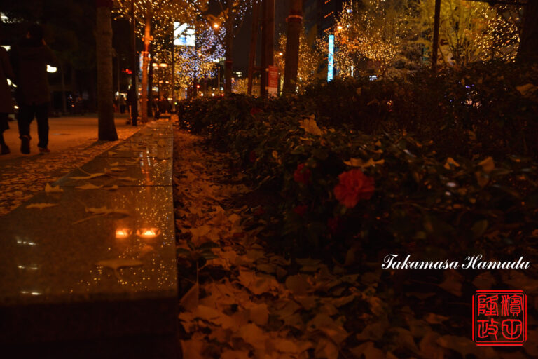 19-052-069 12-19_193848