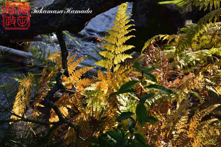 19-053-318 12-20_104157