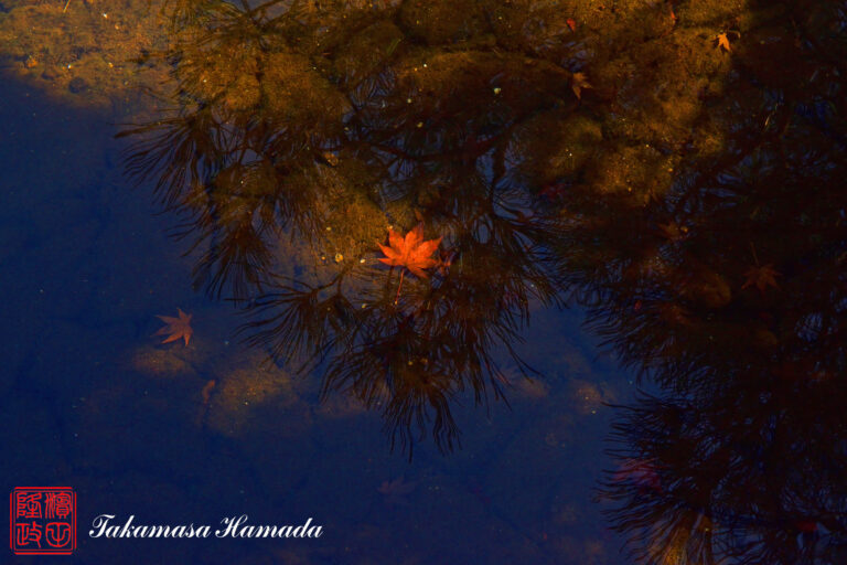 19-053-320 12-20_104243-1