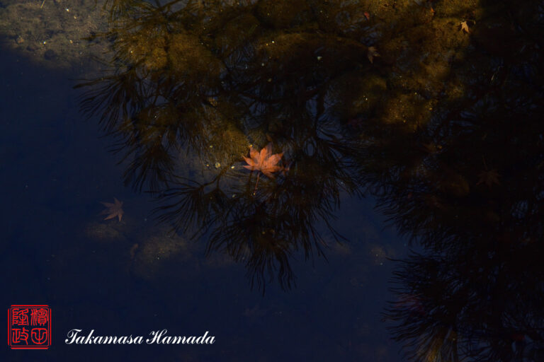 19-053-320 12-20_104243