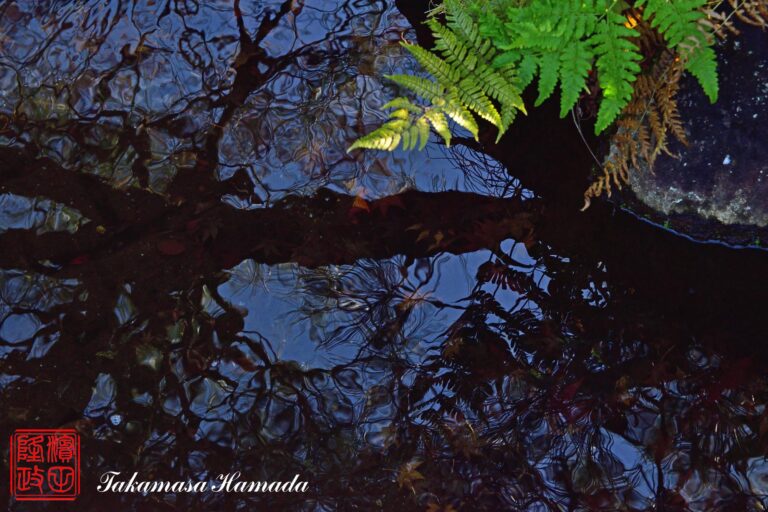 19-053-323 12-20_104301-1