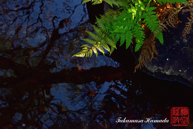 19-053-324 12-20_104303-1