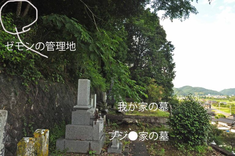 21-022-018 06-23_160553M