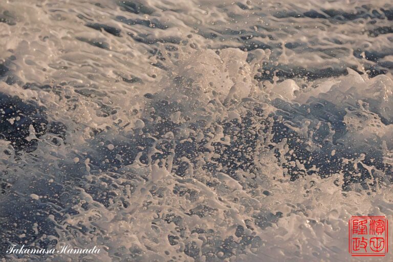 23-008-078 _03_30_1741-e3