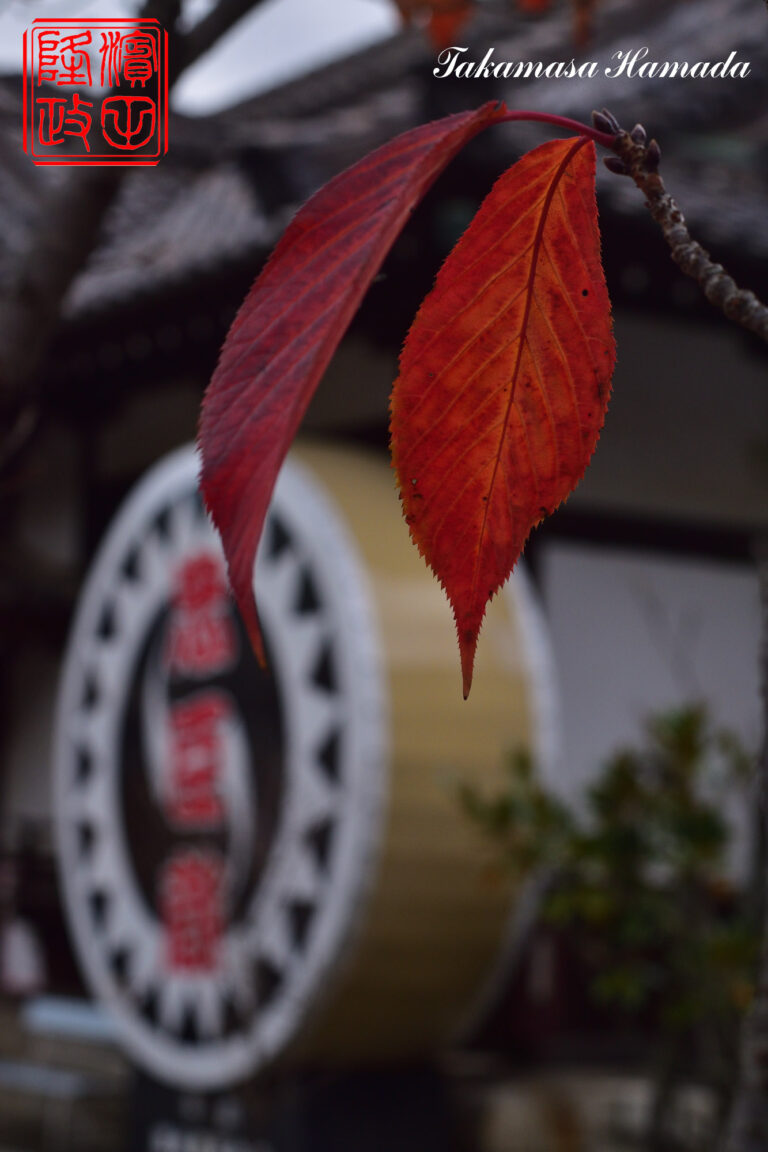 19-047-056 12-02_124521