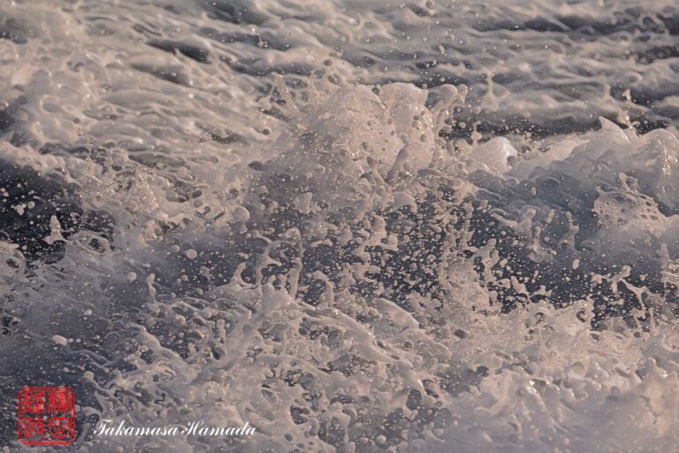 23-008-078 _03_30_1741-e2