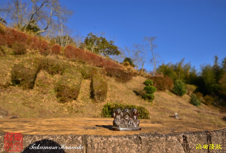 21-040-058 12-14_1510-1