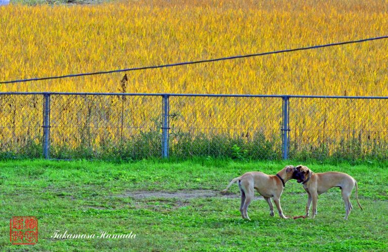 23-021-061 _10_15_T2