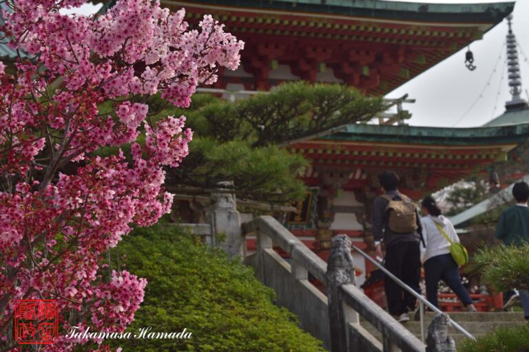 23-006-070 _03_30_160842