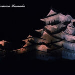 18-009-061 11-28_200725