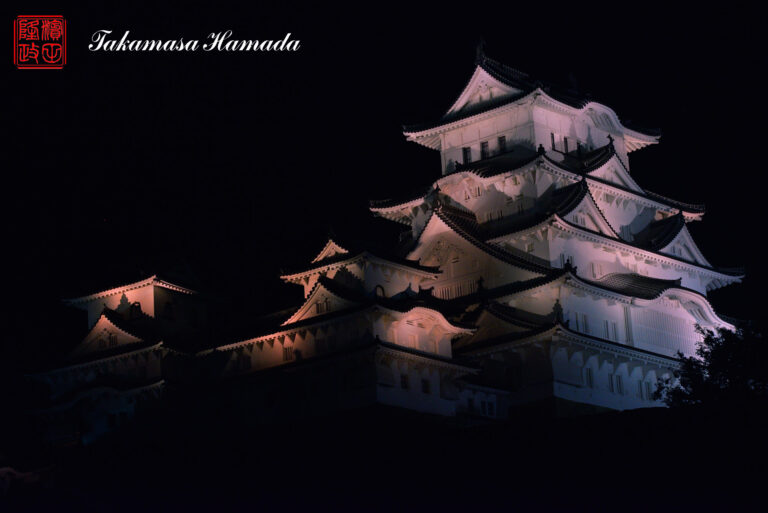 18-009-061 11-28_200725