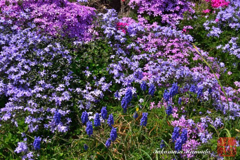 22-012-028 04-08_115456