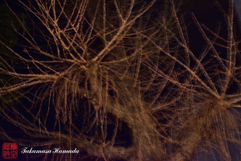 23-010-020 _03_30_2332-u