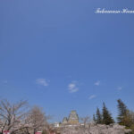 23-013-070 _03_31_122020