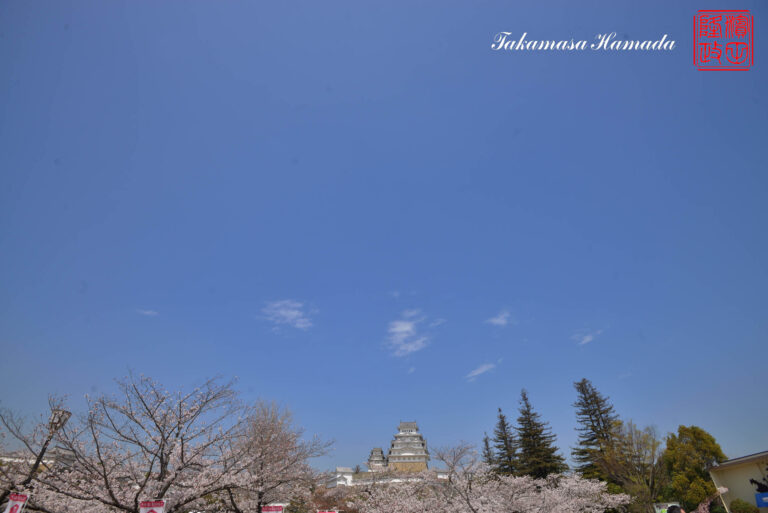 23-013-070 _03_31_122020