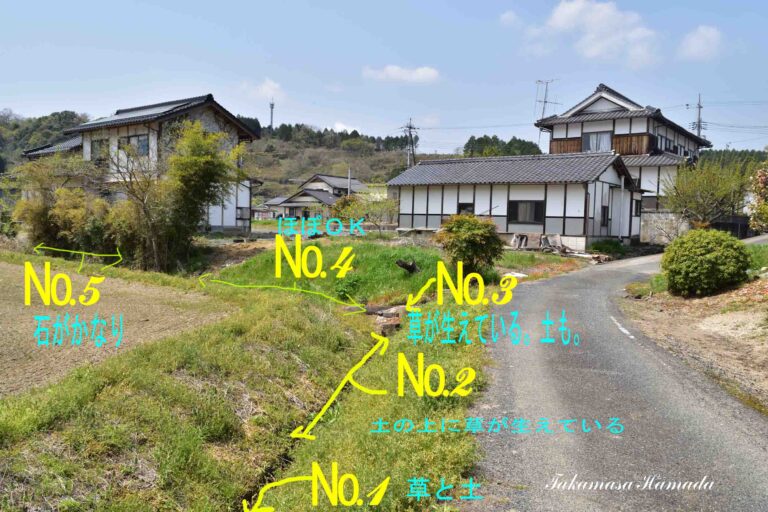 25-013-086 _04_19_1129ーＭ