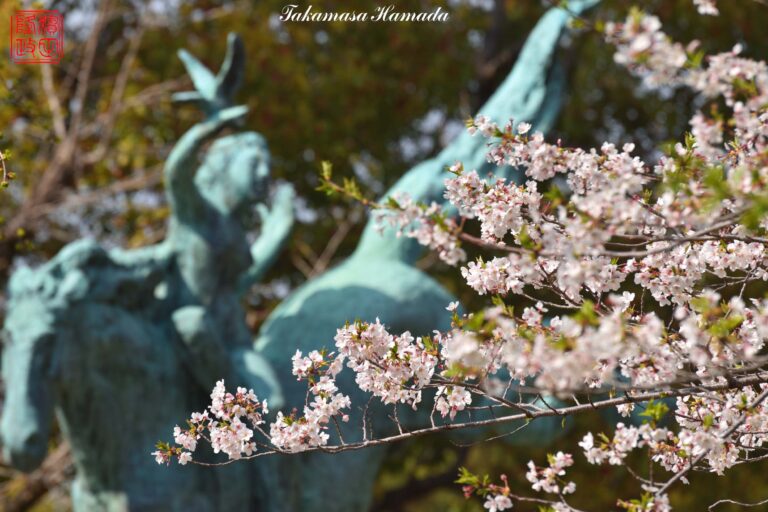 25-010-062 _04_07_142530