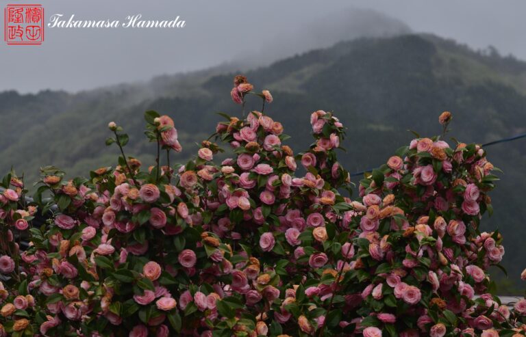 22-014-173 04-14_161008