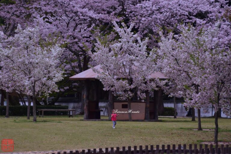 16-008-118b 04_06 180516Old