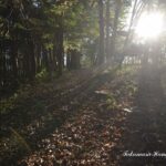 25-022-137 _11_22_152347_01