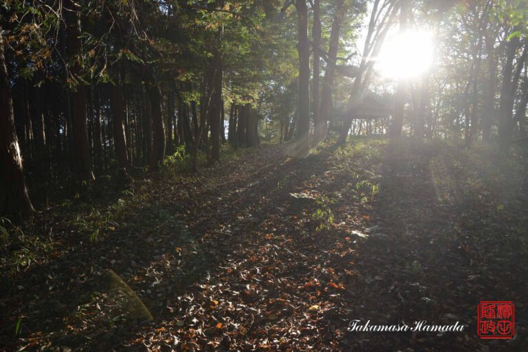 25-022-137 _11_22_152347_01