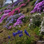 22-012-035 04-08_115558