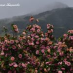 22-014-173 04-14_161008