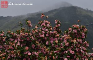 22-014-173 04-14_161008