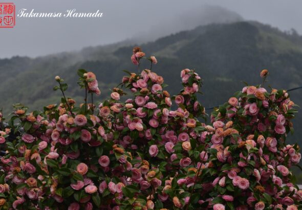 22-014-173 04-14_161008