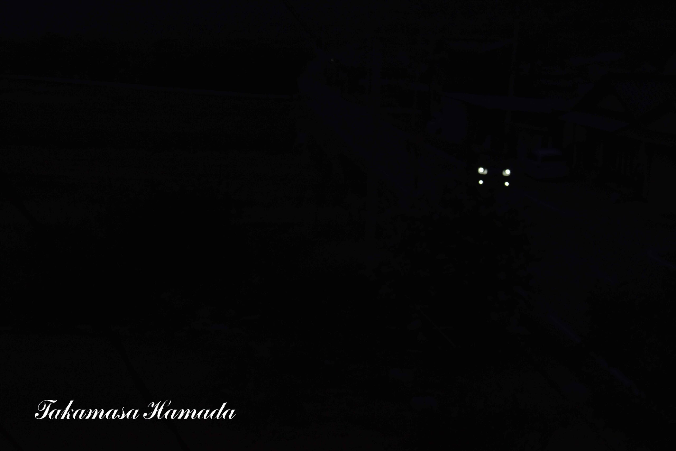 犬-2025年8月26日-1