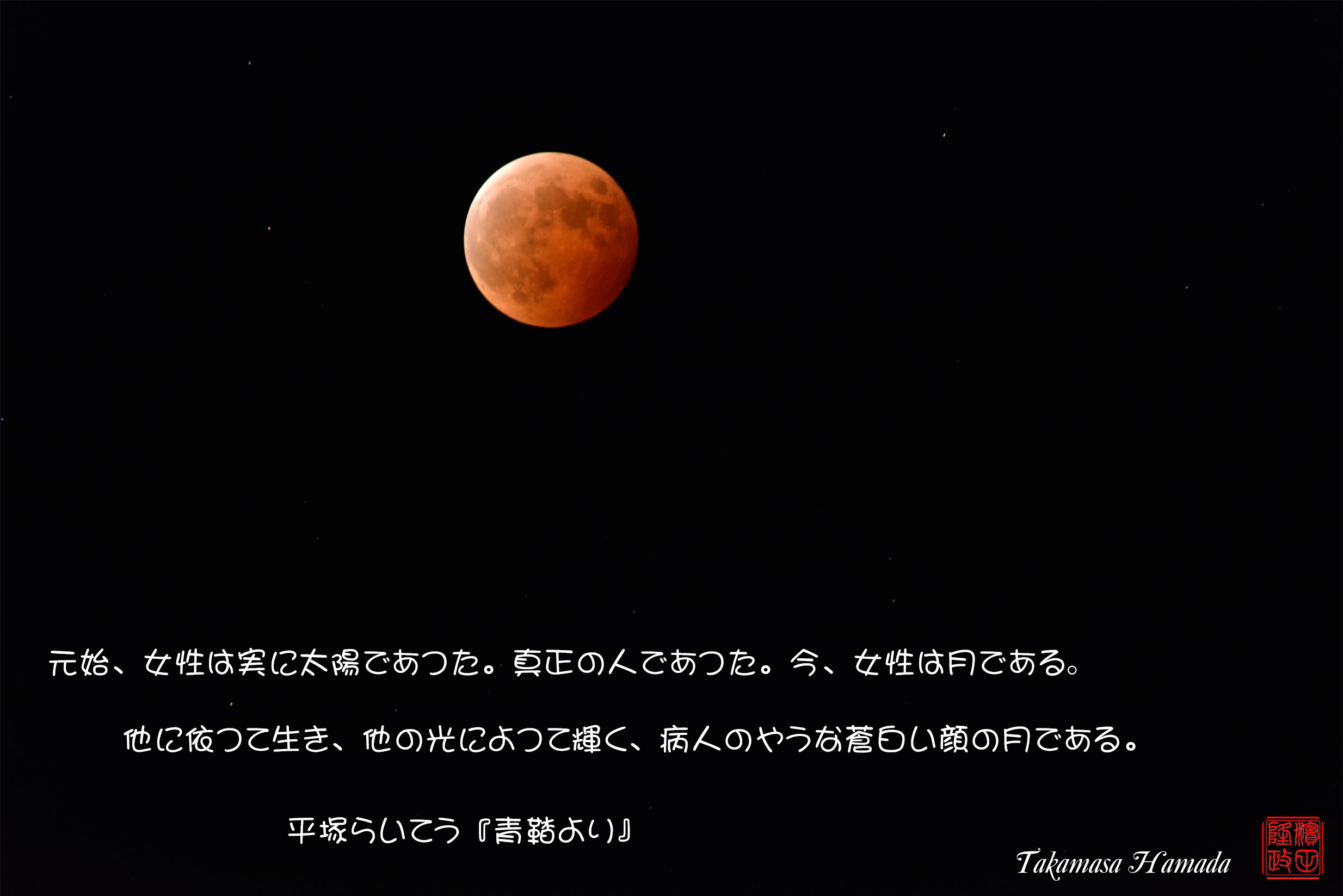 動画実験