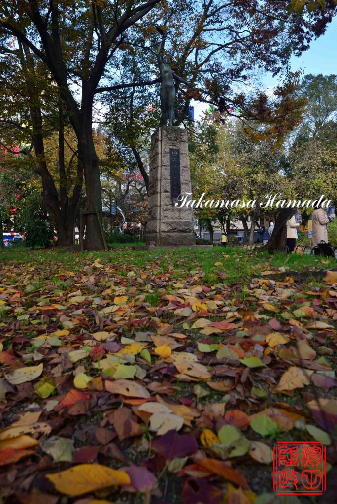 17-097-006 12-01_095403_01